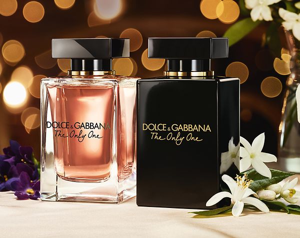 dolce and gabbana fragrance